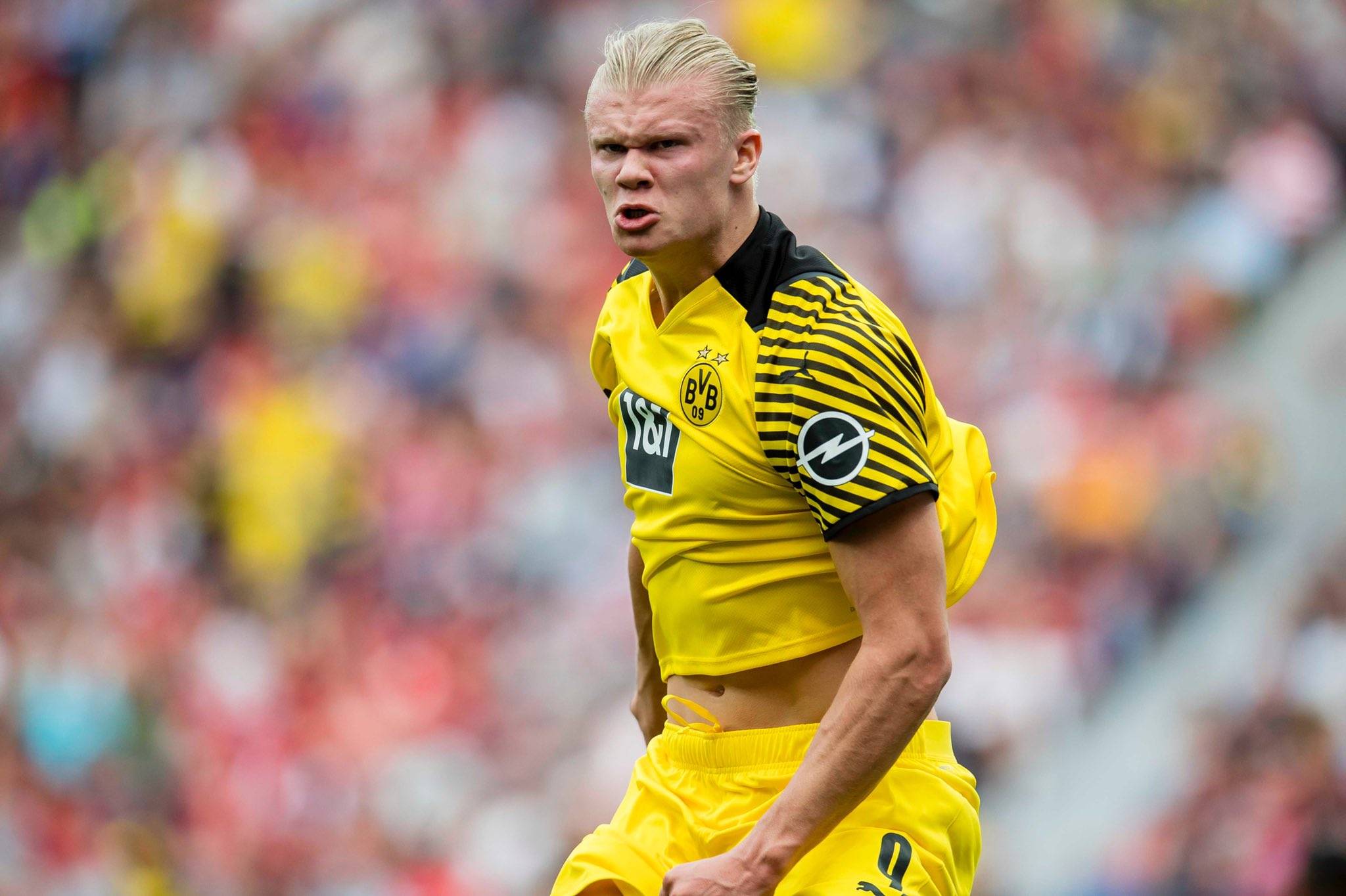 转播窗口被 转播窗口被